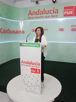 Sánchez Rubio, en rueda de prensa