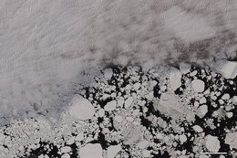  hielo marino en el Ártico