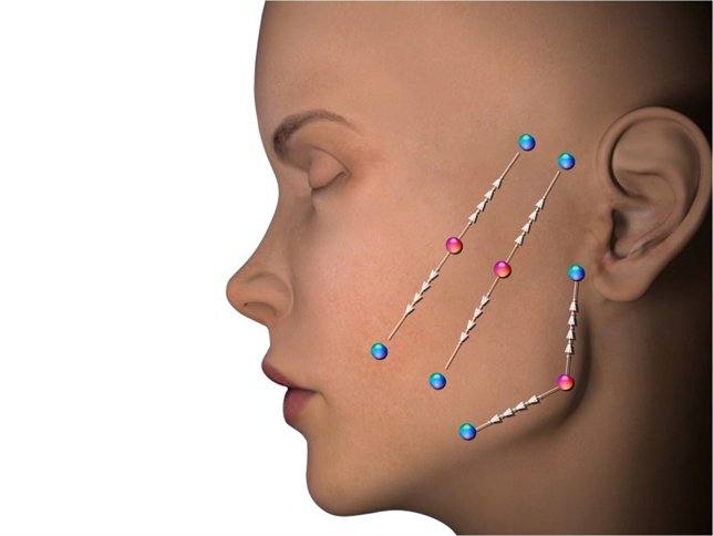 Cara, Instituto Javier de Benito