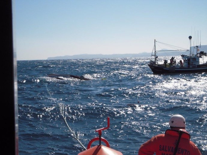 Un pesquero de Santander volca cerca de la isla de Mouro