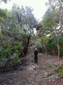 Labores de mejora en senderos