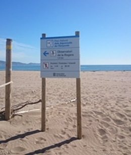 Cierran accesos a la playa de Can Comas para proteger la nidificación