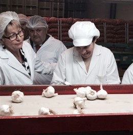 Viboras en las instalaciones ajeras de Montalbán