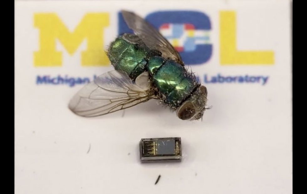 Foto: UNIVERSIDAD DE MICHIGAN 