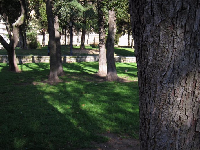 Parque San Francisco en Salamanca