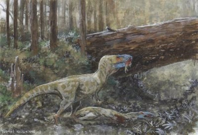 Daspletosaurio