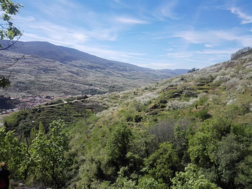 Valle del Jerte