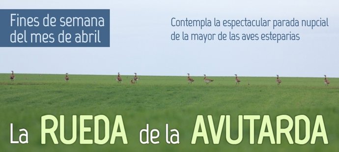 Imagen promocionarl de la rueda de la avutarda