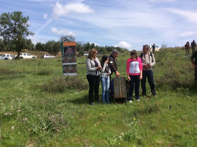 Suelta de un ejemplar de lince ibérico en Adamuz (Córdoba)