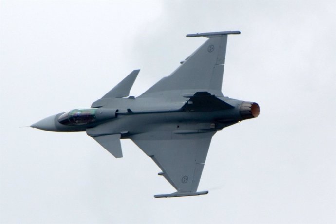 Caza de la Fuerza Aérea Sueca