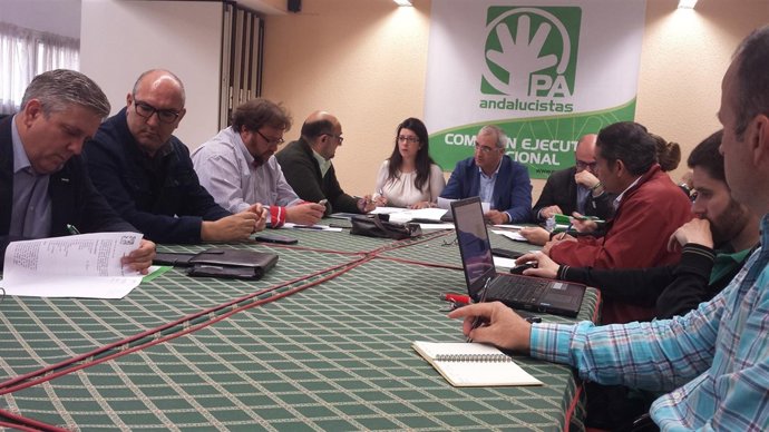 Comisión Ejecutiva Nacional del Partido Andalucista