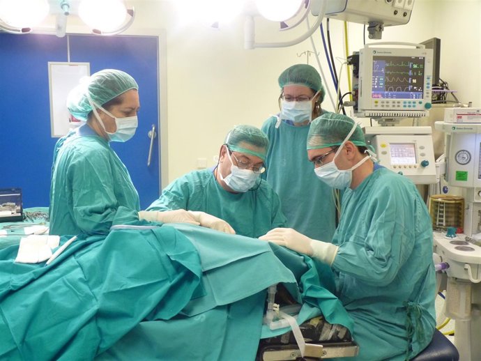 Quirófano, operación, médicos, cirugía, cirujano