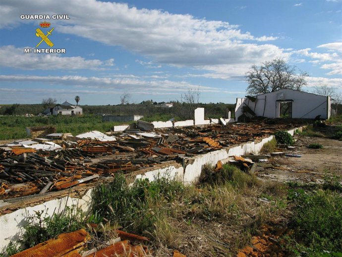 Cinco detenidos en Carmona