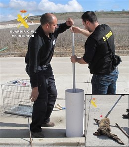 Monento del rescate del zorro atrapado en una tubería