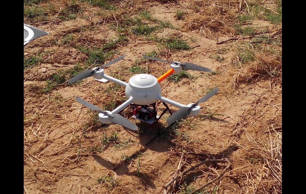 Foto: VEÑAS DEL VERO