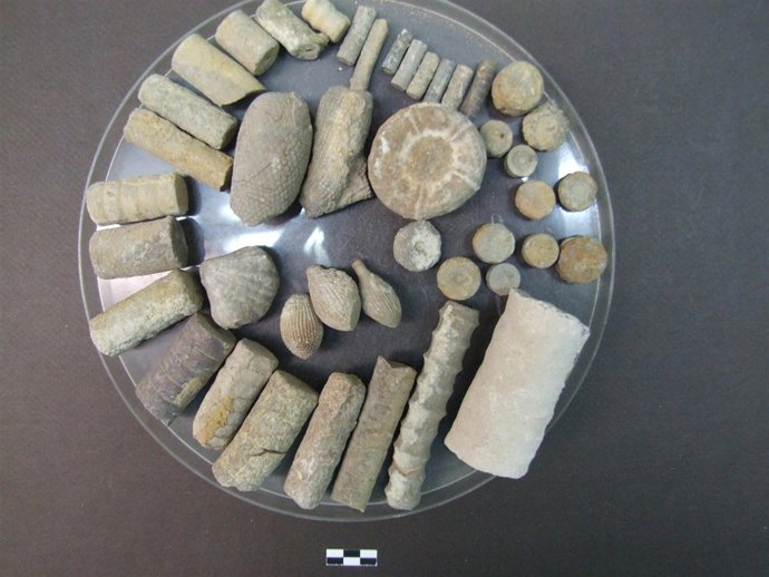 Colección Francisco Moreno Mesas