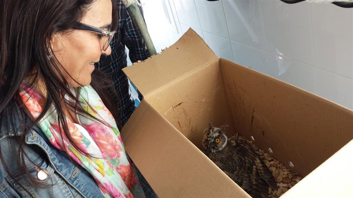 Jornada de divulgación en el paraje de las Marismas del Odiel