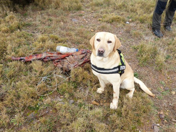 La Unidad Canina Antiveneno realiza más de 170 actuaciones.