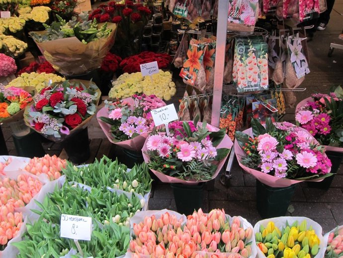 Cáceres acoge un mercado de flores en el Paseo de Cánovas