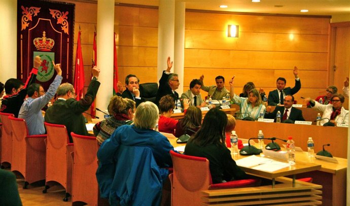 Pleno de Coslada