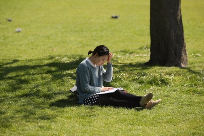 Chica leyendo en el parque