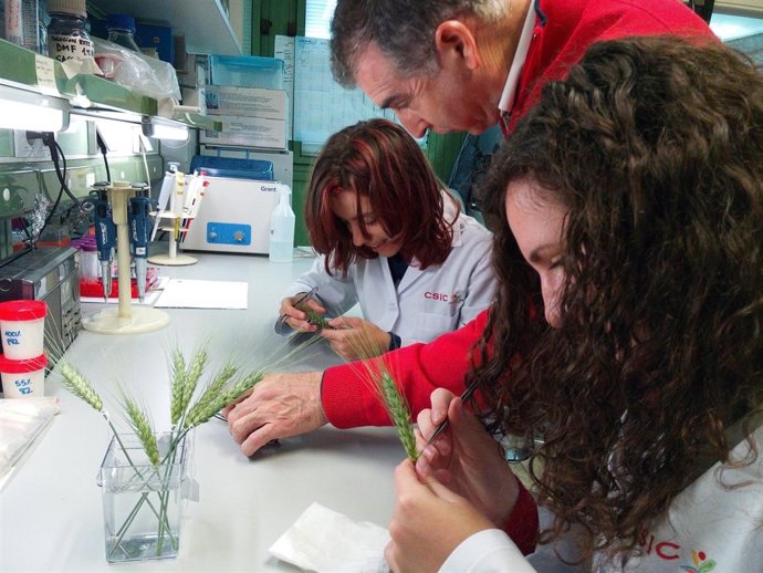 Estudiantes y un profesor participantes en el Piiisa en Córdoba