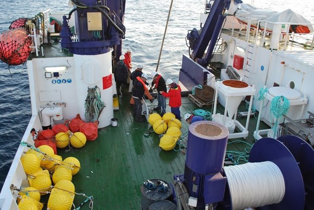 Investigación de la red trófica del plancton 