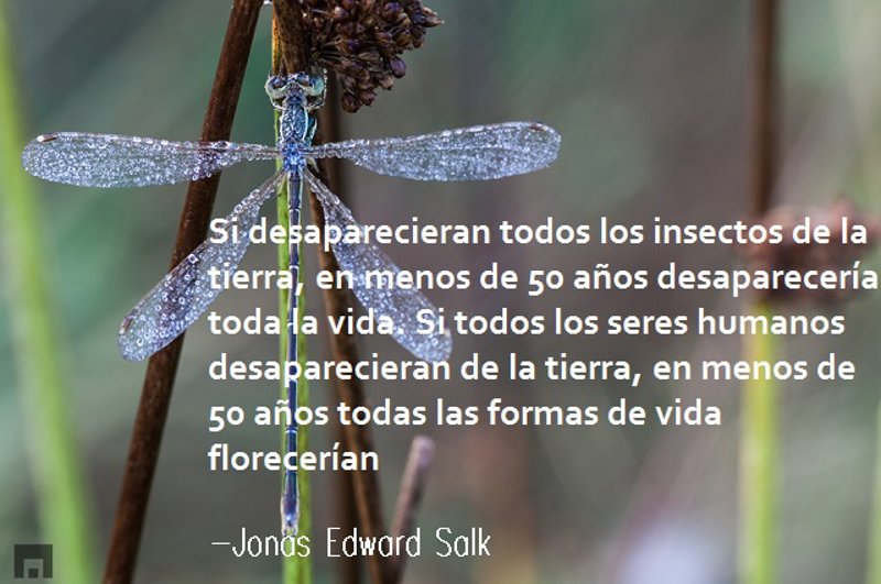 preguntas filosoficas del tiempo 10 frases c 233 lebres para inspirar y reflexionar en el d 237 a preguntas filosoficas del tiempo 10 frases c 233 lebres para inspirar y reflexionar en el d 237 a