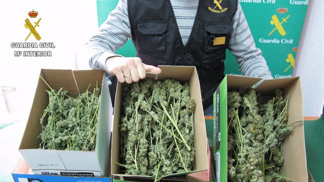 Guardia Civil desmantela un cultivo 'indoor' de marihuana