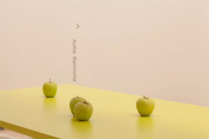 Obra de Julia Spínola