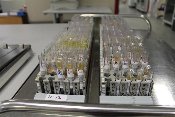 Hospital, Laboratorio, Químicos, Tubos de ensayo