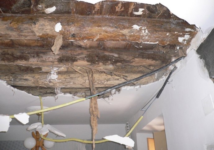 Inmueble afectado por termitas