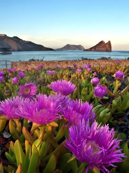 Isla del Fraile de Águilas