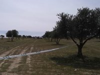 Registran con perros la finca de la tía del casero de Majadahonda