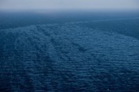 WWF pide extraer todo el combustible del Oleg Nadeynov