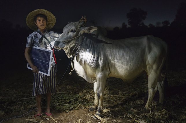 Un granjero y su vaca en el pueblo de Lui Pan Sone Village