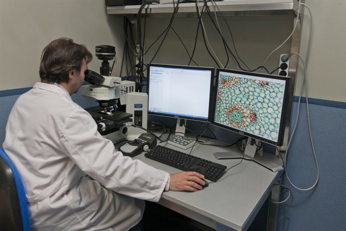 V Plan Propio de Investigación, presupuesto de 13 millones