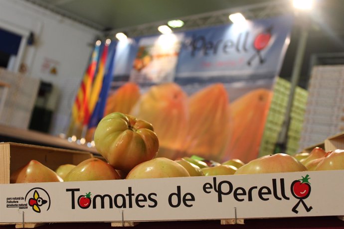 A subasta el primer lote de Tomates de El Perelló de la temporada.