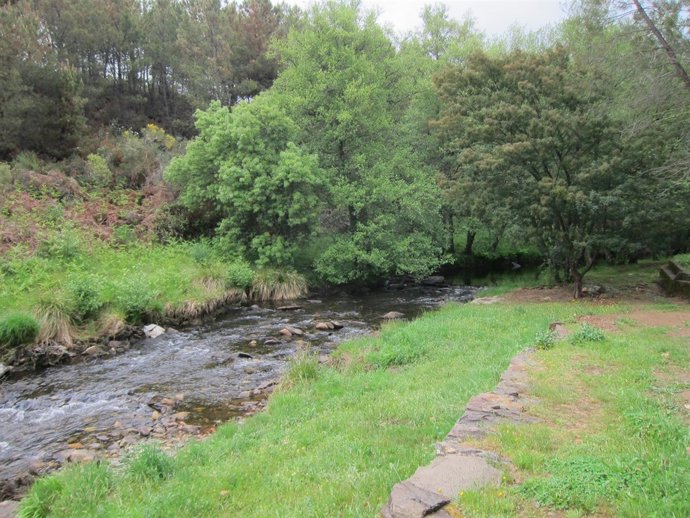 Rivera de Gata en Sierra de Gata (Cáceres)