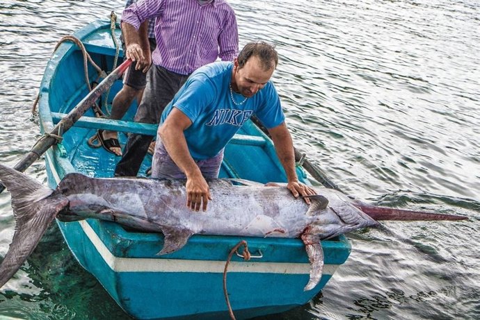  Captura De Pez Espada A La Manera Tradicional, Con Harpón
