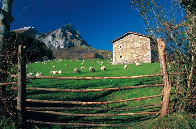 Casa Rural Kaardel en Navarra