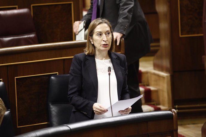 Ana Pastor en el Congreso