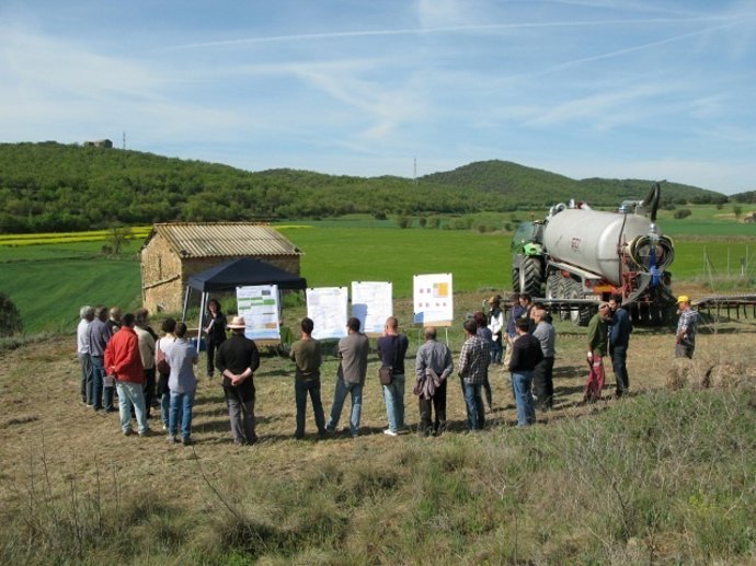 Agro. Agruestra A L Ensayos Dación Con Nuevos Cuo La Colza