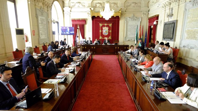 Pleno del Ayuntamiento de Málaga de marzo 2015