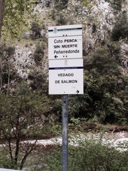 Fotos vedado del salmón facilitadas por Foro Asturias