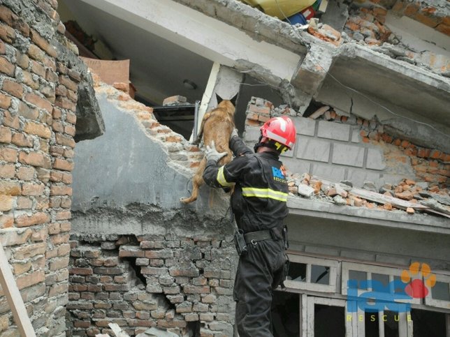 Miembro de la ONG IAE en Nepal