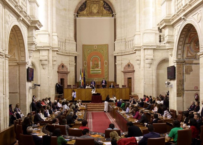 Imagen del Pleno del Parlamento durante la X legislatura