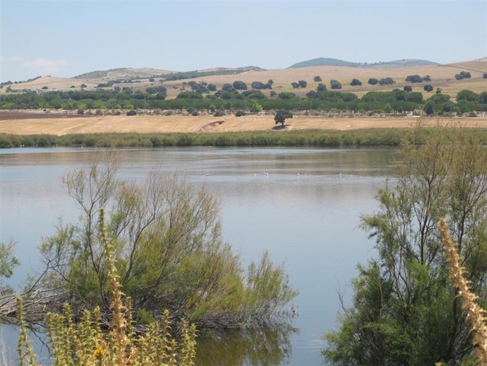 Laguna de Los Tollos