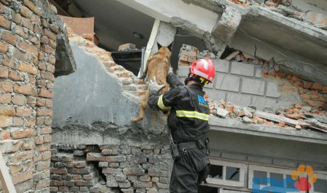 Cooperación y Desarrollo