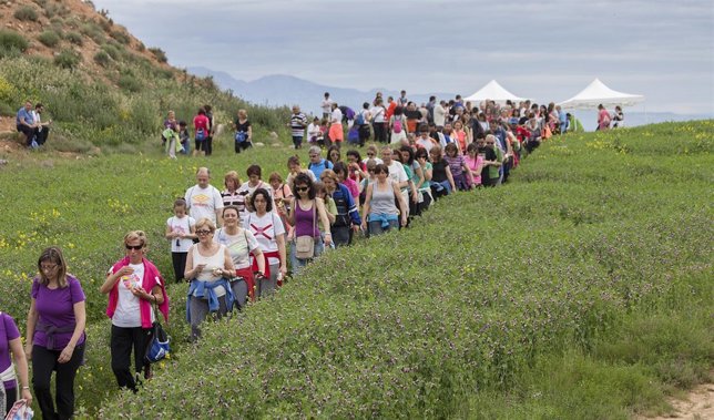 Tercer paseo saludable